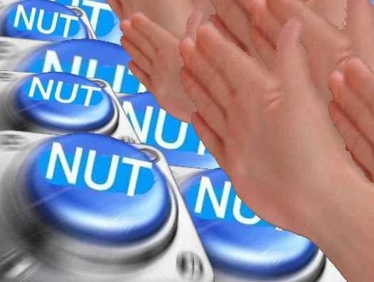 Image result for nut meme