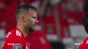 sl benfica hug GIF by Sport Lisboa e Benfica