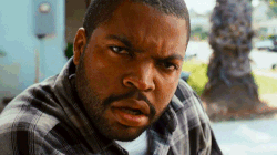 ice cube what GIF