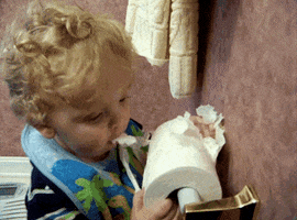 toilet paper eating GIF by AFV Babies