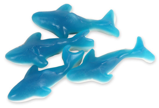 gummy-sharks-blue-5lb-3.gif