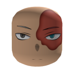 Fire and Ice Anime Face