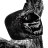 2828348862